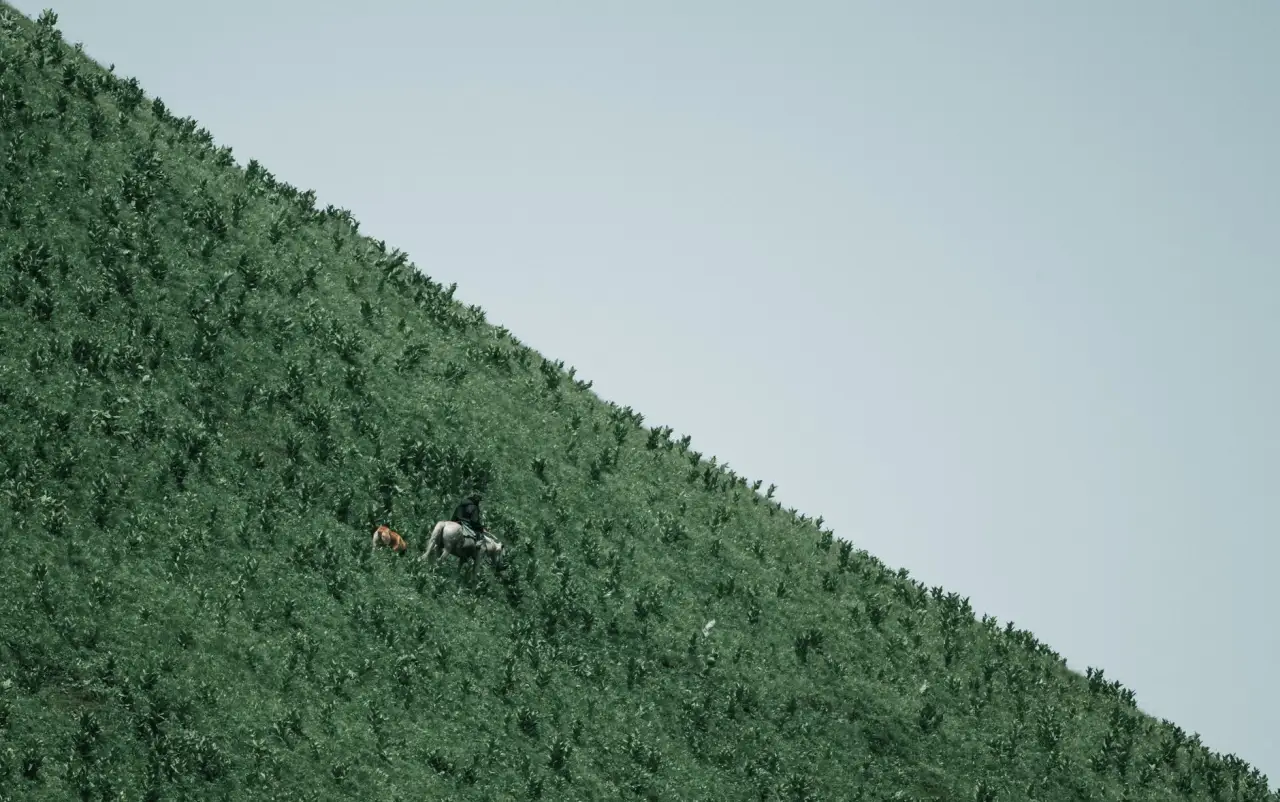 家庭厨房场景下电饭煲与电磁炉的多功能整合方案设计